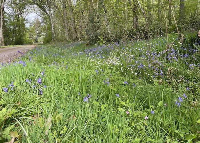 Confortable En Foret Avec Animaux Admis - Fr-1-489-445