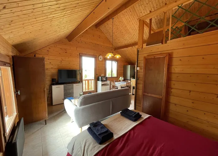 Lägenhet Confortable En Foret Avec Animaux Admis - Fr-1-489-445 Saint-Bonnet-Tronçais