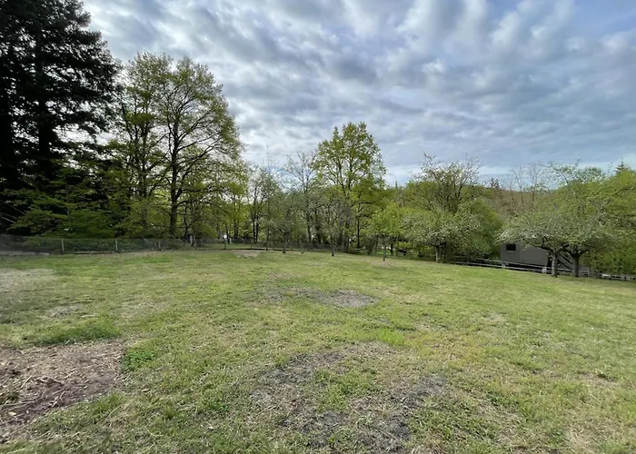 Confortable En Foret Avec Animaux Admis - Fr-1-489-445 *