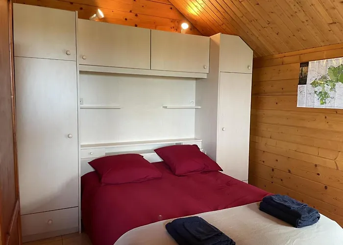 Confortable En Foret Avec Animaux Admis - Fr-1-489-445 * Saint-Bonnet-Tronçais